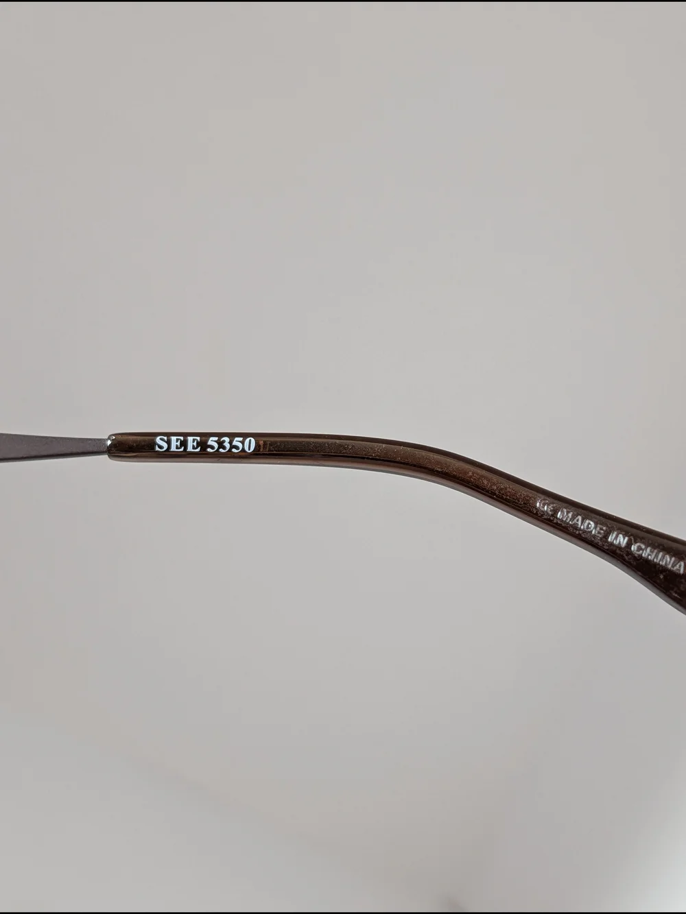 SEE Round Sunglasses in Dark Brown/Black